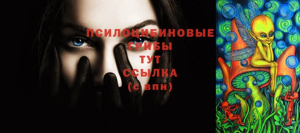 шишки Покров