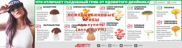 сатива Бронницы