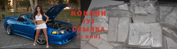 шишки Покров