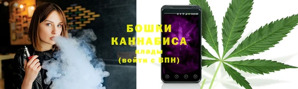 2c-b Пестово