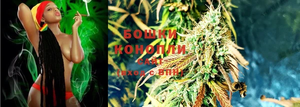 шишки Покровск