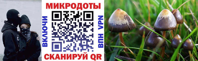 Галлюциногенные грибы Cubensis  hydra ТОР  Советская Гавань 