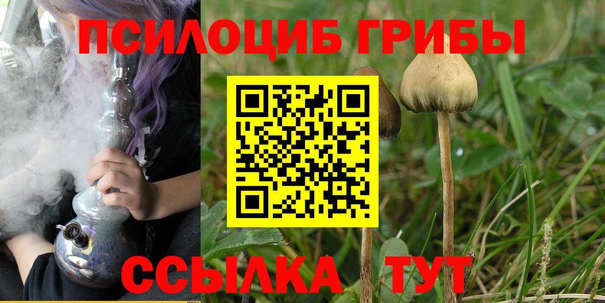 Псилоцибиновые грибы Psilocybine cubensis  Вход с VPN  Советская Гавань 