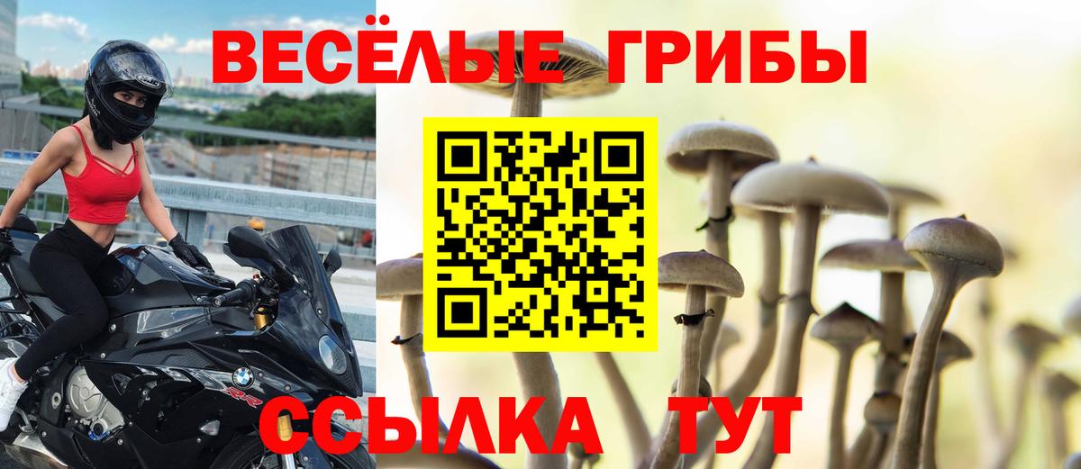 Галлюциногенные грибы мухоморы Советская Гавань